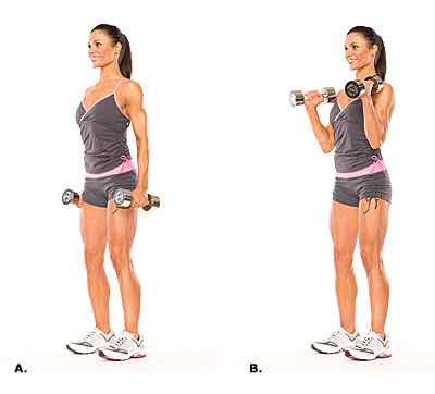 Hammer Curl - Exercises for biceps